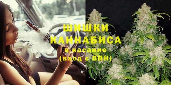 гидра Вяземский