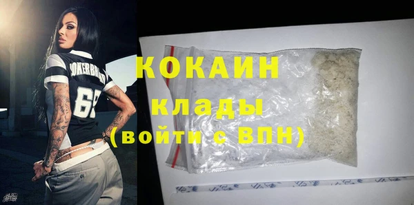 гидра Вяземский