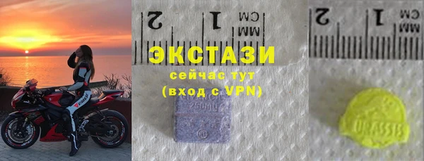 гидра Вяземский
