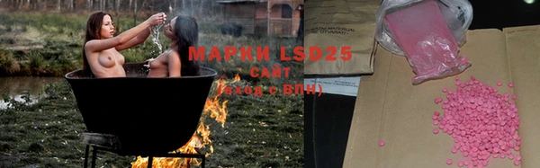гидра Вяземский