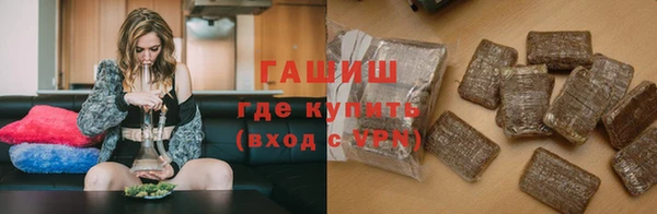 гидра Вяземский