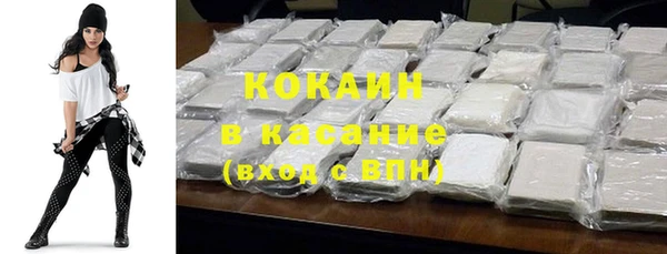 гидра Вяземский