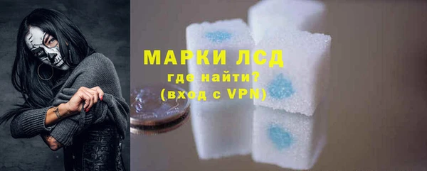 гидра Вяземский
