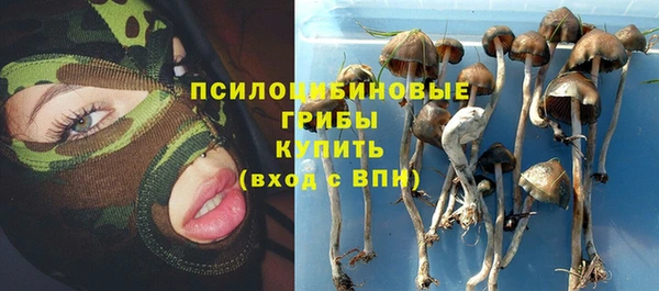 гидра Вяземский