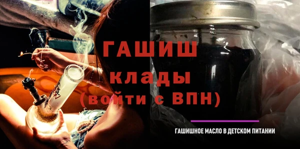 гидра Вяземский