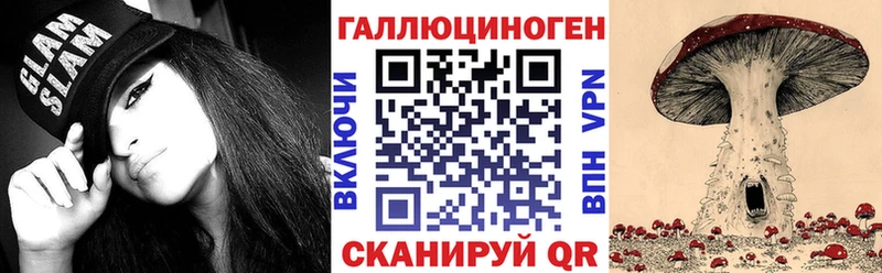 даркнет наркотические препараты  Железногорск  Псилоцибиновые грибы мицелий  цены наркотик 