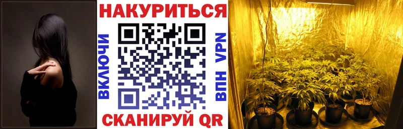наркота  Железногорск  ссылка на мегу tor  Шишки марихуана White Widow 